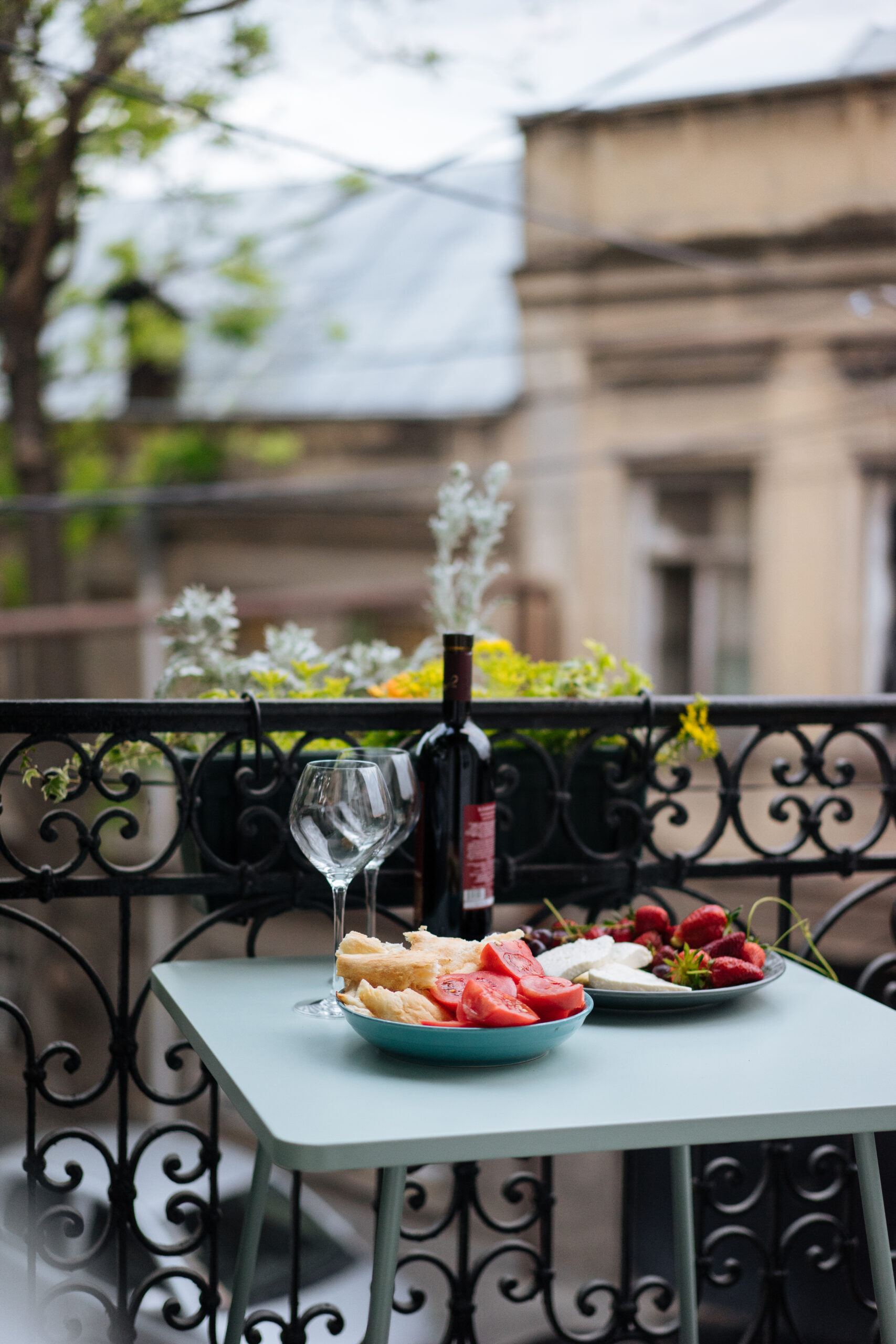 Bottle of wine and delicate glasses with high stems standing on table with sliced tomatoes, bread, cheese and berries lying on plates with ornamental fence and plants on background